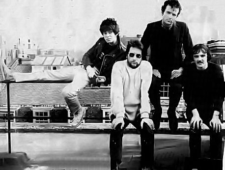 The Stranglers - chick magnets (DC Collection)
