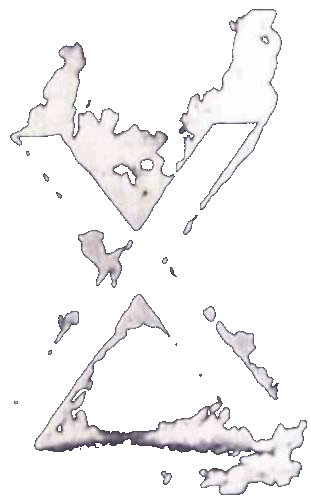 X INTERVIEW