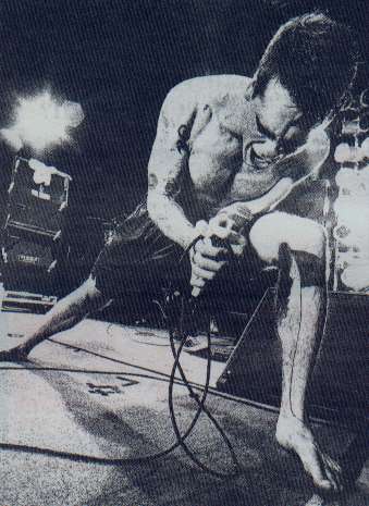Hank berates an ant who happened to be crawling within Rollins designated floorspace midset!!!
